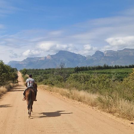 Thandolwami Bushlodge & Spa Hoedspruit Eksteriør bilde