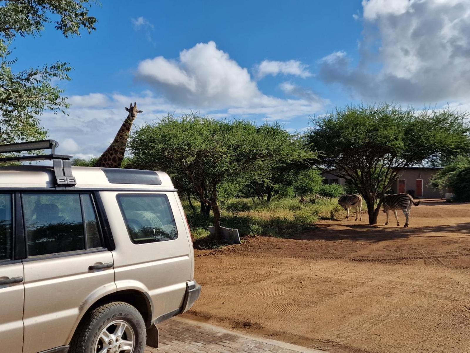Thandolwami Bushlodge & Spa Hoedspruit Eksteriør bilde
