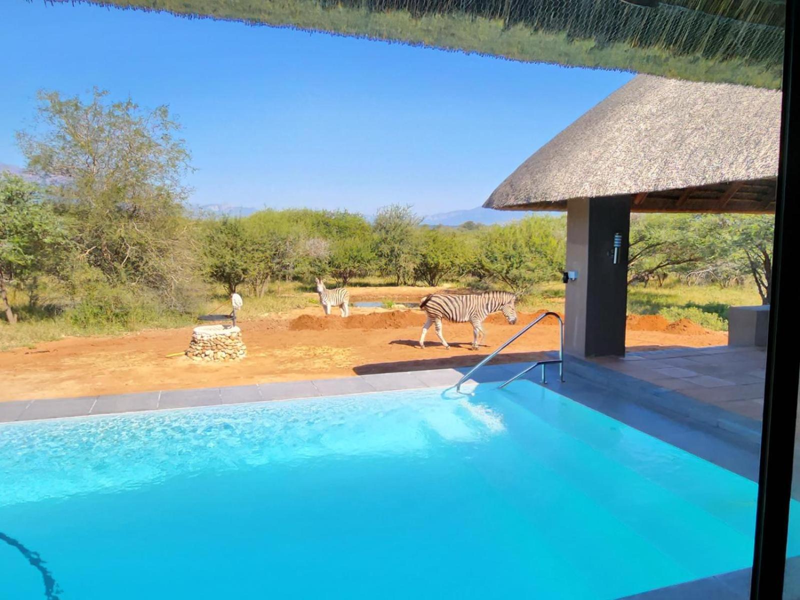 Thandolwami Bushlodge & Spa Hoedspruit Eksteriør bilde