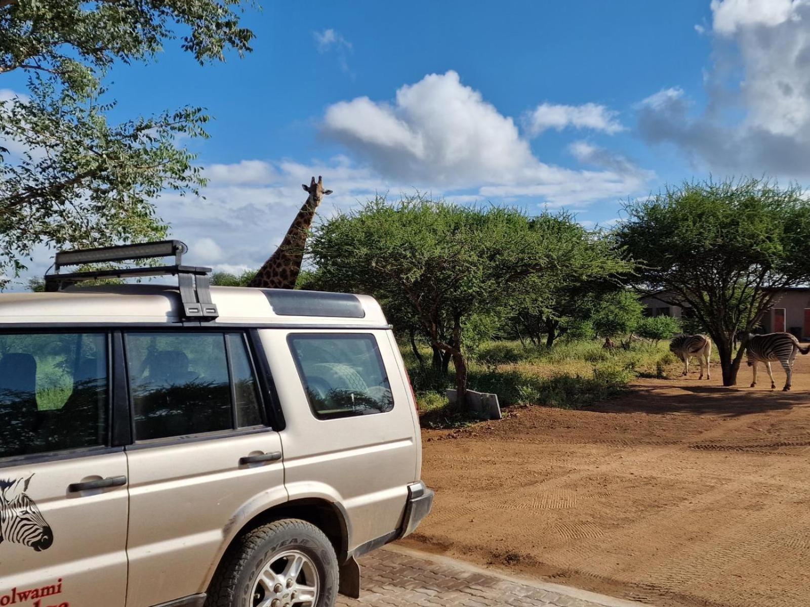 Thandolwami Bushlodge & Spa Hoedspruit Eksteriør bilde