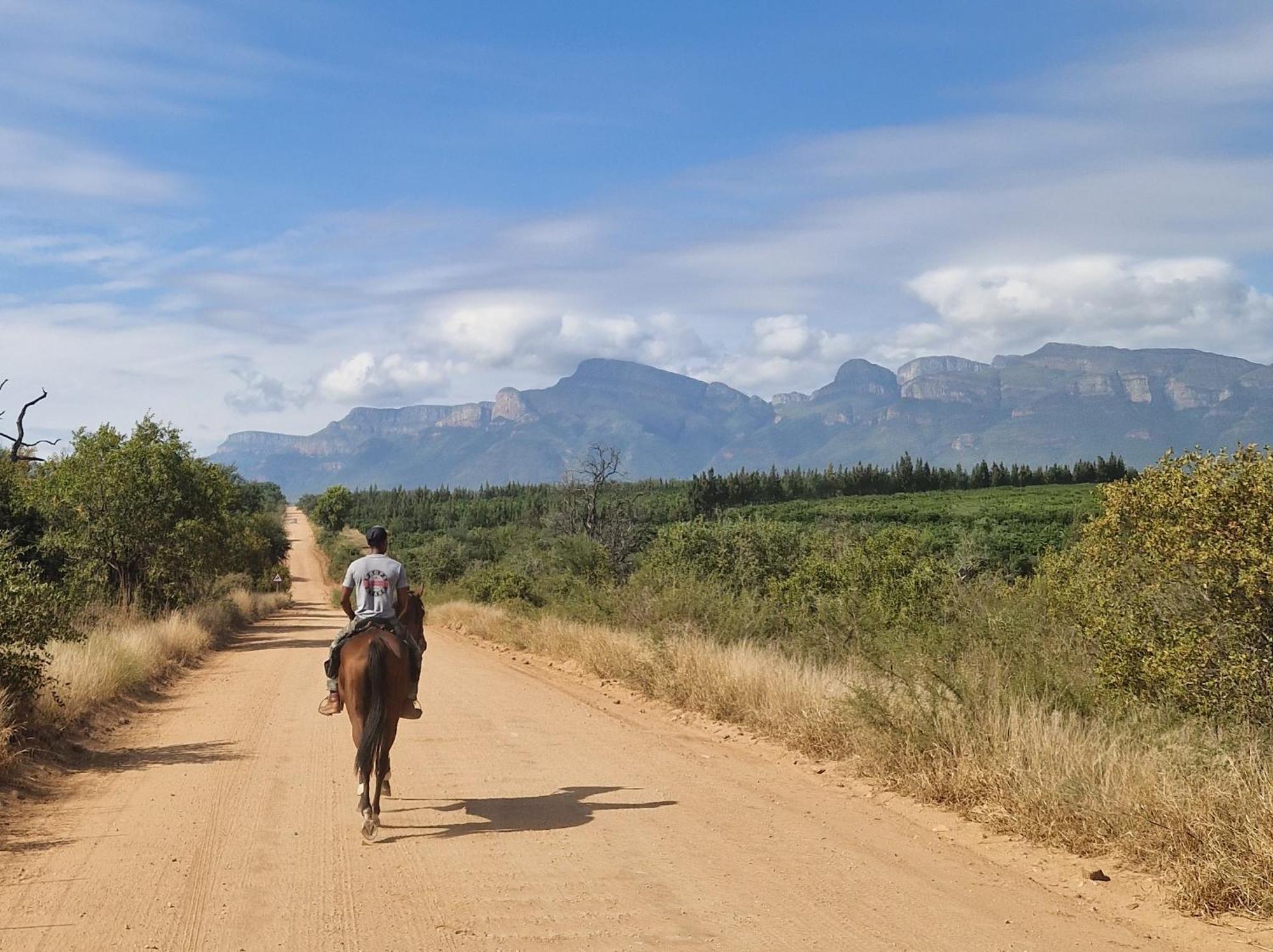 Thandolwami Bushlodge & Spa Hoedspruit Eksteriør bilde